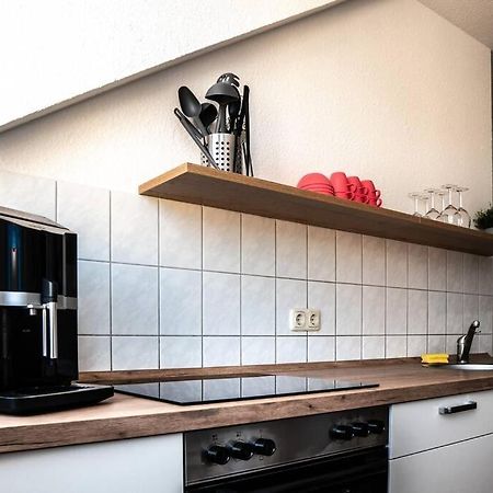 Gemuetliche Ferienwohnung Im Zentrum Von Plauen Dış mekan fotoğraf